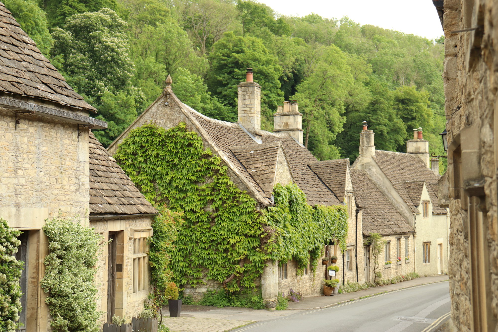 A row of Cotswold-stone houses in Cirencester with ivy climbing the front walls.